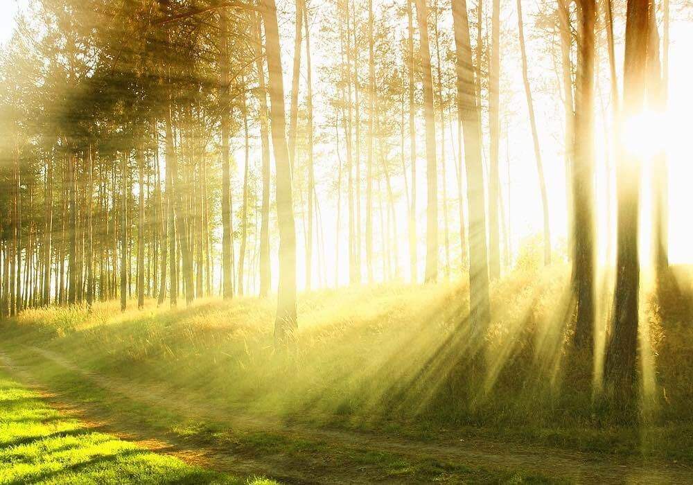 Vitamin D - Das unterschätzte Sonnen-Vitamin