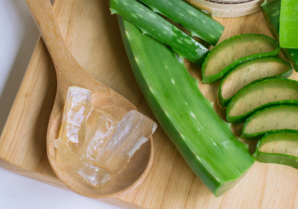 Rezept: DIY Aloe Vera Haarmaske