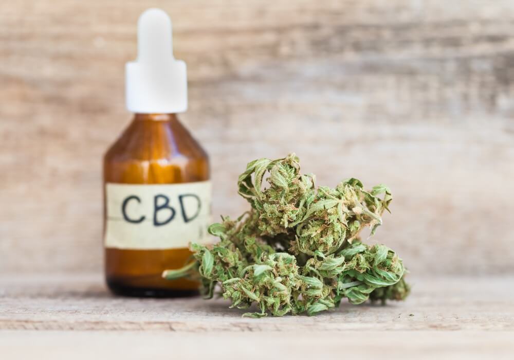 Hanf CBD – Das müsst ihr über das Cannabinoid der Hanfplanze wissen