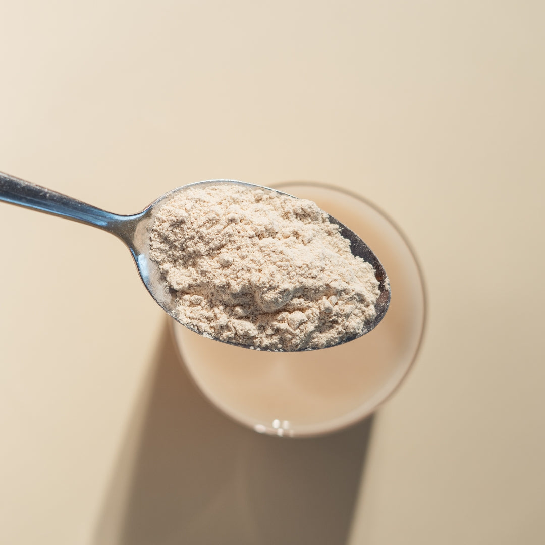 Protein Synbiotic