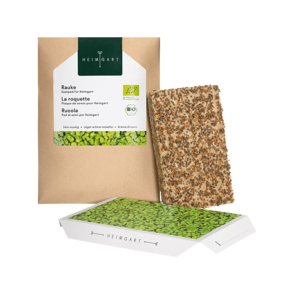 Rauke Microgreens Saatpads